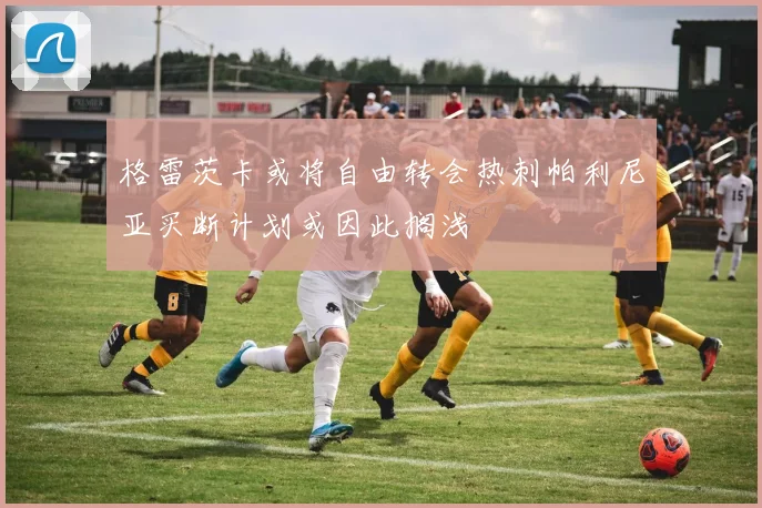 格雷茨卡或将自由转会热刺帕利尼亚买断计划或因此搁浅