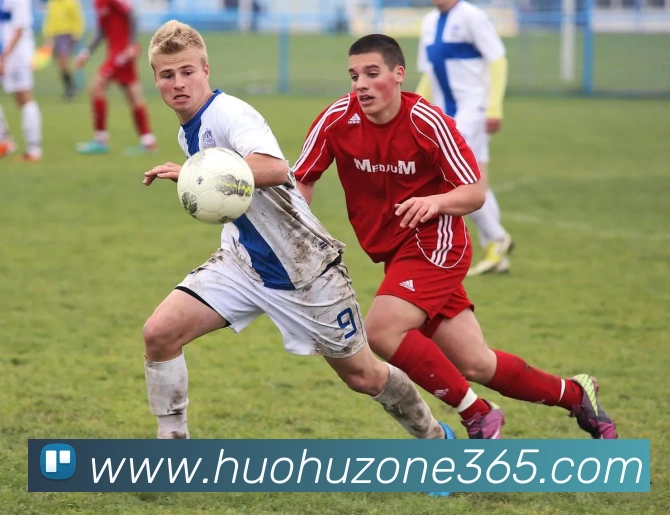 App Interface Preview